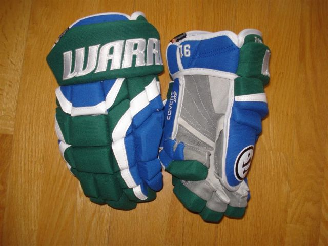 Warrior Covert DT2 custom gloves