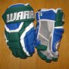 Warrior Covert DT2 custom gloves