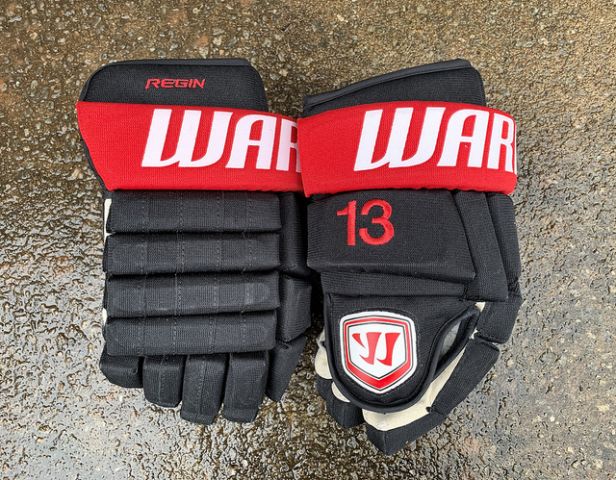 Warrior Franchise Ottawa Senators Regin