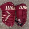 Boston College Eagles Warrior