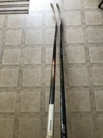 Karlsson and Oshie twigs