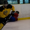 Toronto Maple Leafs Gear - last post by Foley215