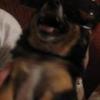 Mccreadyt's Photo